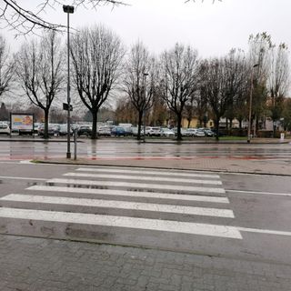 Una pensionata di Alba alla guida dell’auto pirata che ha investito un dipendente Ferrero Una pensionata di Alba alla guida dell’auto pirata che ha investito un dipendente Ferrero