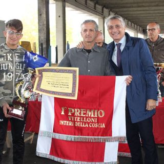 Alba, 59 capi in mostra alla Rassegna Bovina: protagonista la sottorazza albese della coscia