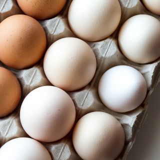 Residui di Fipronil nelle uova, assolti "perché il fatto non sussiste" titolari di un'azienda cuneese