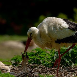 Foto di Filippo Marmo