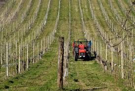 Granda in azione: &quot;Agricoltura settore importante, Protopapa intervenga&quot;