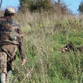A Fossano, la raccolta firme per il Referendum sulla caccia