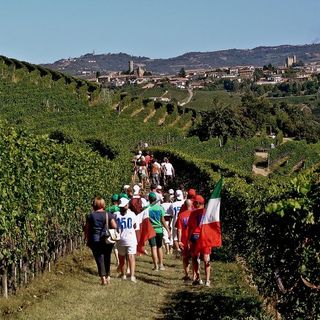 Tanti appuntamenti per questo primo fine settimana di luglio