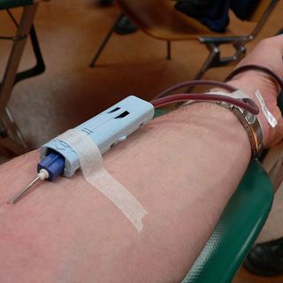 Al via l'Assemblea provinciale dell'Avis che si terrà a Genola