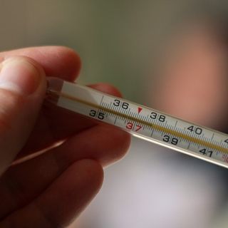 Immagine di repertorio