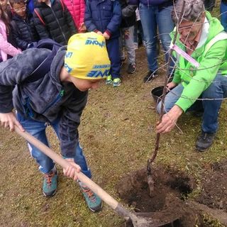 Immagine di repertorio Immagine di repertorio