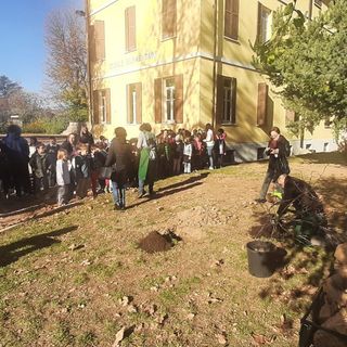 Una mattinata di festa a Spinetta, dove i bambini della Primaria hanno piantato un nuovo albero