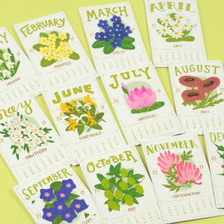 Un laboratorio profumatissimo al Múses di Savigliano