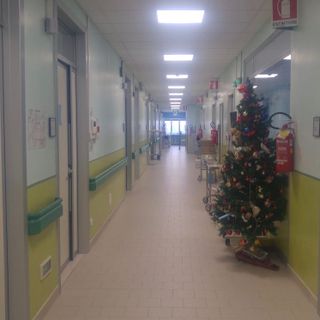 Quadri realizzati dagli alunni delle medie di Borgo San Giuseppe: “un sorriso indelebile” sulle pareti della chirurgia vascolare