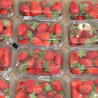 Imballaggi, con la proposta europea si rischia un nuovo duro colpo al settore frutticolo Imballaggi, con la proposta europea si rischia un nuovo duro colpo al settore frutticolo