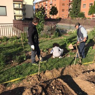Semi di Quartiere per riqualificare le aree verdi del Donatello di Cuneo