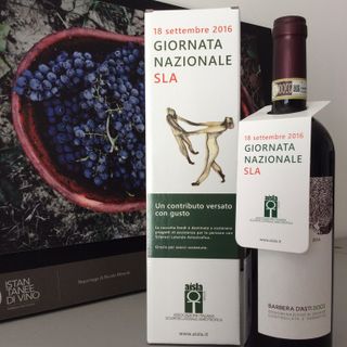 Da sinistra Filippo Mobrici, Massimo Mauro, Giorgio Ferrero e Michele Maggiora