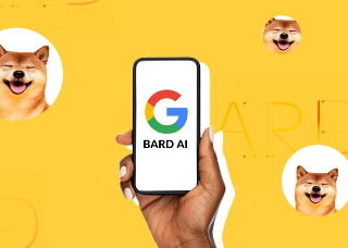 Previsioni sui prezzi delle meme coin di Google Bard nel 2024