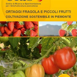 Boves, presentata la nuova guida del CReSO (VIDEO)