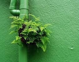 Cuneo: in programma questa sera un’azione di “guerriglia gardening”