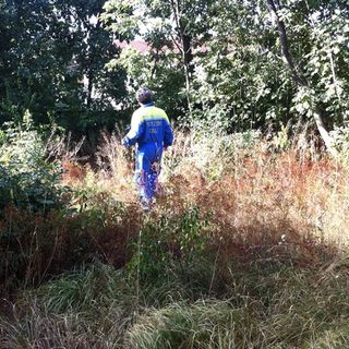 Immagine di repertorio