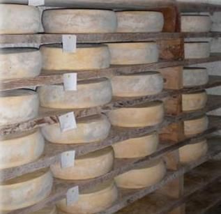 Immagine di repertorio