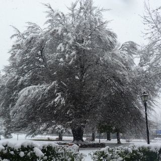 La neve è arrivata, ancora utile i Tavolo di crisi?