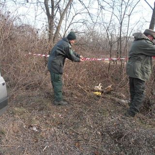 Gli agenti procedono alla delimitazione dell'area