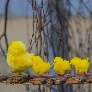 Previste piogge per la domenica di Pasqua ma Pasquetta sarà senza precipitazioni