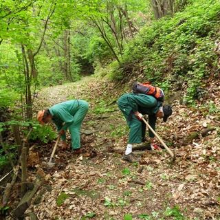 Immagine di repertorio