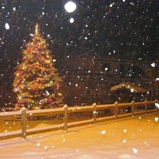 Il gigantesco Albero di Natale di frazione Robella sotto la neve