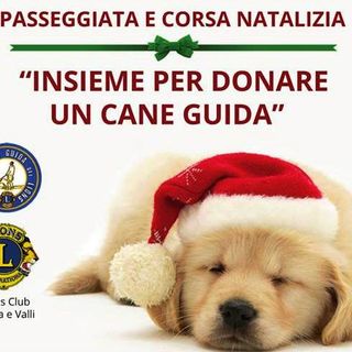Busca, insieme per donare un cane guida per non vedenti