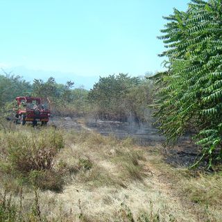 Immagine di repertorio