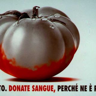 Domenica 15 marzo, nella palestra delle scuole, prelievo collettivo di sangue organizzato dal Gruppo Adas di Sanfront