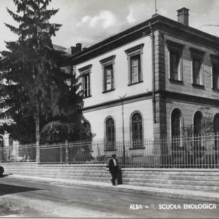 In un'immagine d'epoca i cedri che affiancano l'edificio scolastico In un'immagine d'epoca i cedri che affiancano l'edificio scolastico