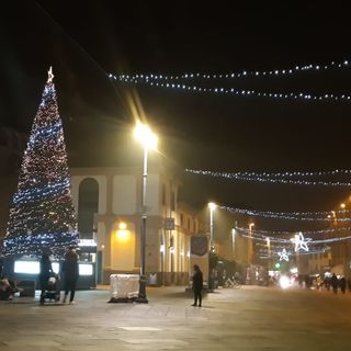 Saluzzo, l'albero di Natale illuminato in piazza Vineis