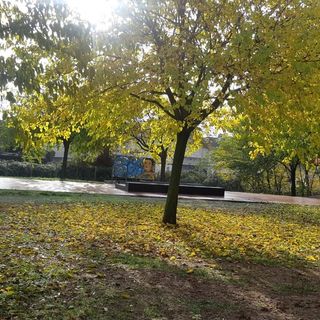 Saluzzo, terminati i lavori di riallestimento del nuovo skate park al Tapparelli