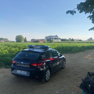 Immagine di repertorio