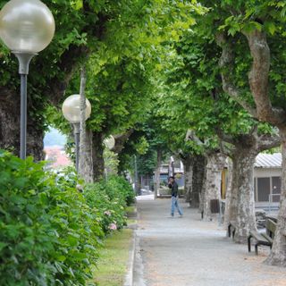 La Lea alberata di Sanfront corre parallela a corso Vittorio Veneto