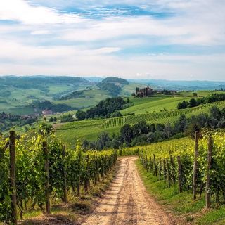 Il Piemonte del vino, unito contro l'emergenza Covid-19