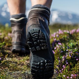 Appuntamenti di Terre Alte: escursioni di fine estate a Diano d'Alba e Canale