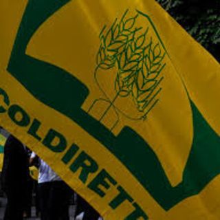 Zona rossa, Coldiretti avverte: ci si può spostare per risparmiare sulla spesa Zona rossa, Coldiretti avverte: ci si può spostare per risparmiare sulla spesa