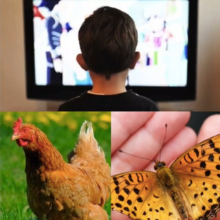 Video/racconti online, la nuova iniziativa sulla pagina Facebook &quot;Biblioteca civica di Magliano Alfieri&quot;