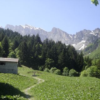 Immagine di repertorio