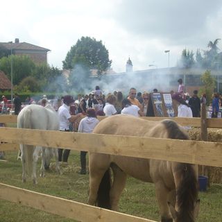 Nel week-end torna la festa dell’amicizia in salsa country di Genola