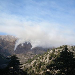 Immagine di repertorio