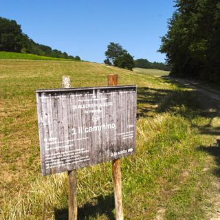 Camerana, la natura le idee