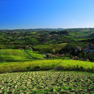 L’Associazione "Amicissia Piemonteisa" presenta  la prima edizione del Premio letterario “Cipressa”
