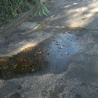 Immagine di repertorio