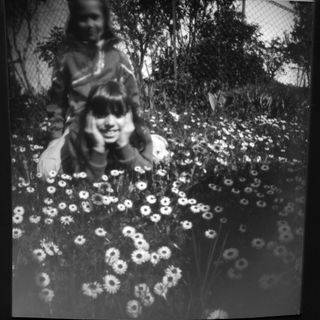 Alcune immagini scattate con la tecnica stenopeica