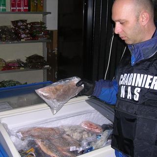 Controlli dei Nas in un ristorante cinese dell'albese: chiuso il locale, denunciato il titolare