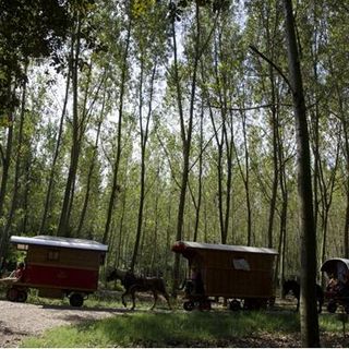 La Carovana Balacaval mette Zig-z-ania e incontra le carovane manouche e sinti