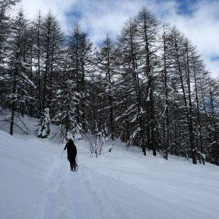 Immagine di repertorio