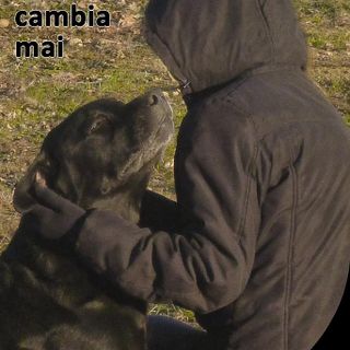 Alla biblioteca di Carrù si presenta il libro “Nessuno cambia mai”