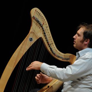 L'arpista François Pernel
